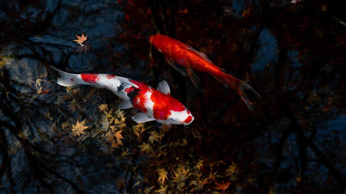 Surveillance video led deputies to one of the two men accused in the theft, sheriff’s officials said.