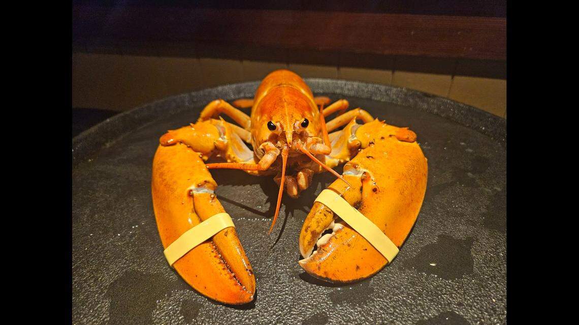 An orange lobster made its way to an aquarium after a dishwasher spotted him while unpacking a Red Lobster shipment, according to a Colorado aquarium.