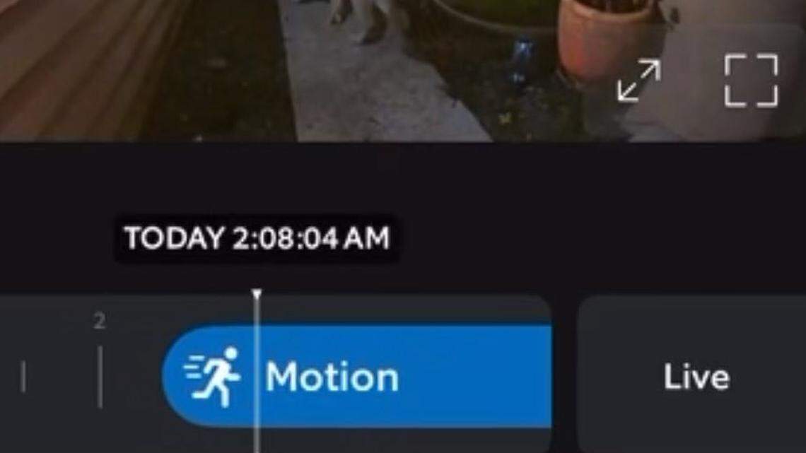 An elusive apex predator was spotted roaming through a California yard on the home’s doorbell camera, officials said.