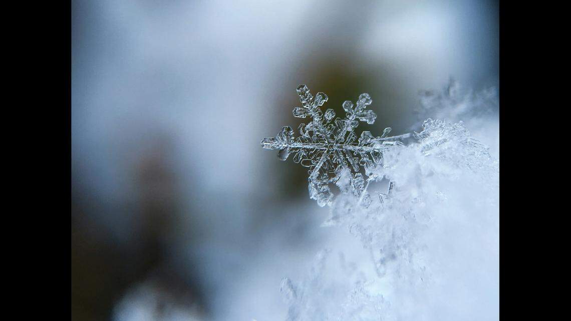 A Montana man appears to have died from hypothermia after his car got stuck in bad weather, Montana officials said.