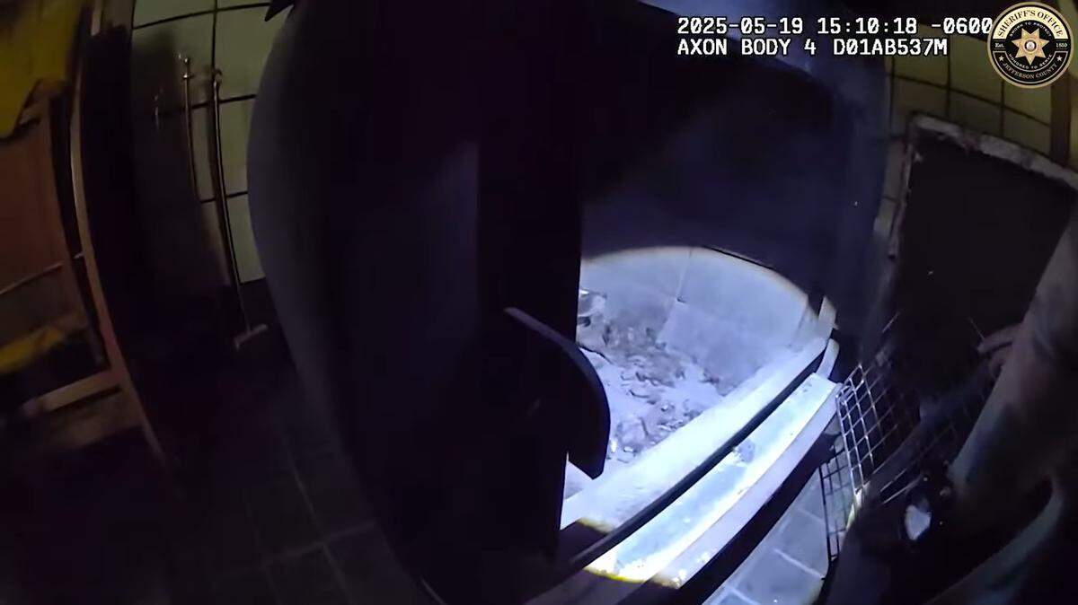 A family of furry critters were found in a Colorado homeowner’s wood-burning stove, video shows.