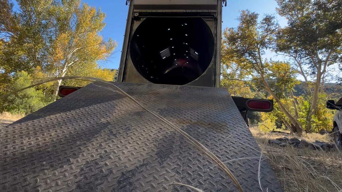 A bear family was relocated after getting into a garage and venturing into heavily populated areas in Arizona.