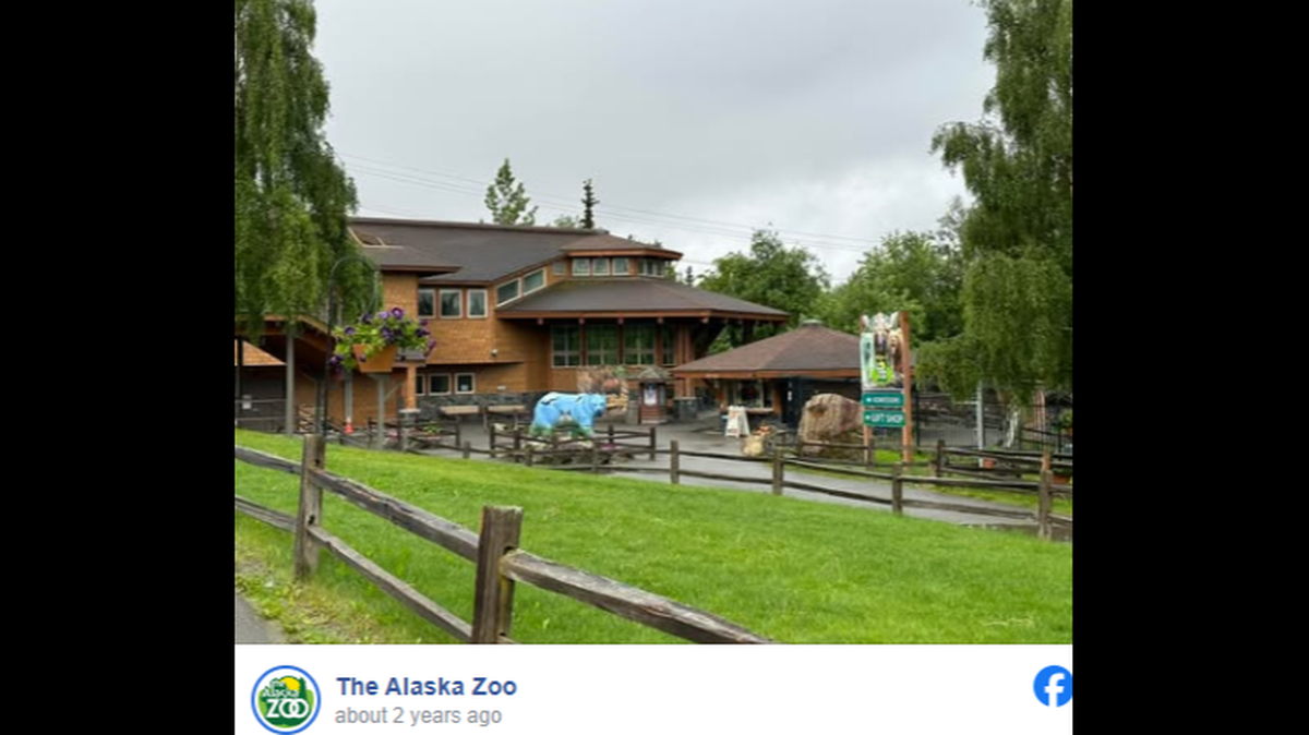 Screengrab from The Alaska Zoo's Facebook page