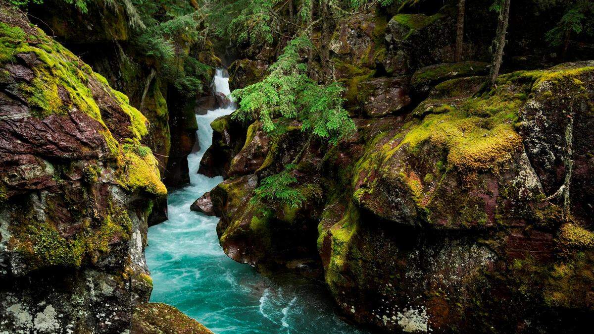 A hiker died after being swept away by a creek’s current and into a gorge, the first of two drownings at Glacier National Park on Saturday, July 6, Montana rangers say.