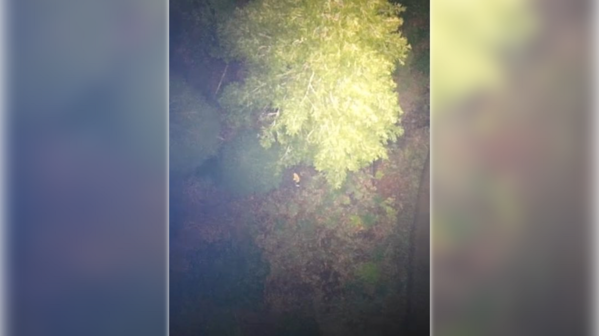 A missing 76-year-old hiker was found beneath a tree at night in Nevada County with the help of a thremal imaging drone, rescuers say.