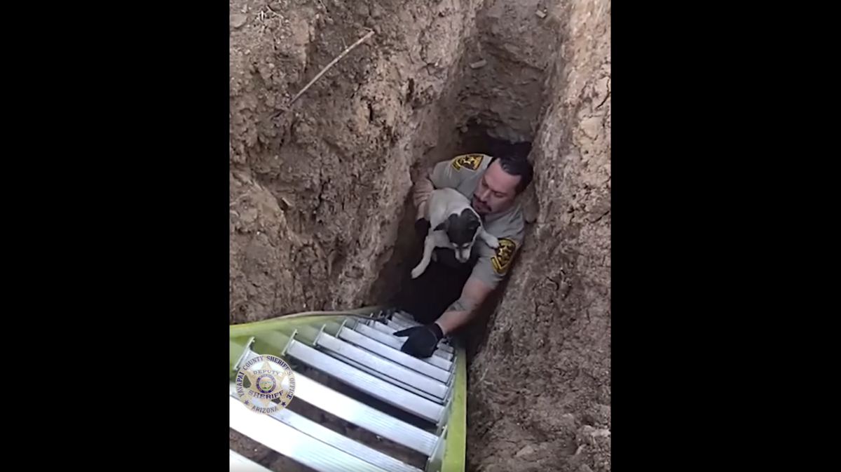 The dog appeared to be OK aside from possible injuries to his front legs, according to deputies.