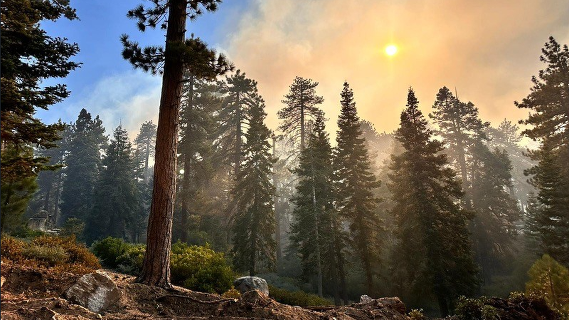 Deputies said they found the remains while patrolling an area evacuated due to the Line Fire.