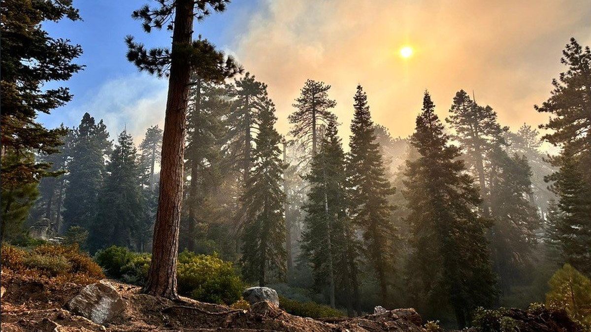 Deputies said they found the remains while patrolling an area evacuated due to the Line Fire.