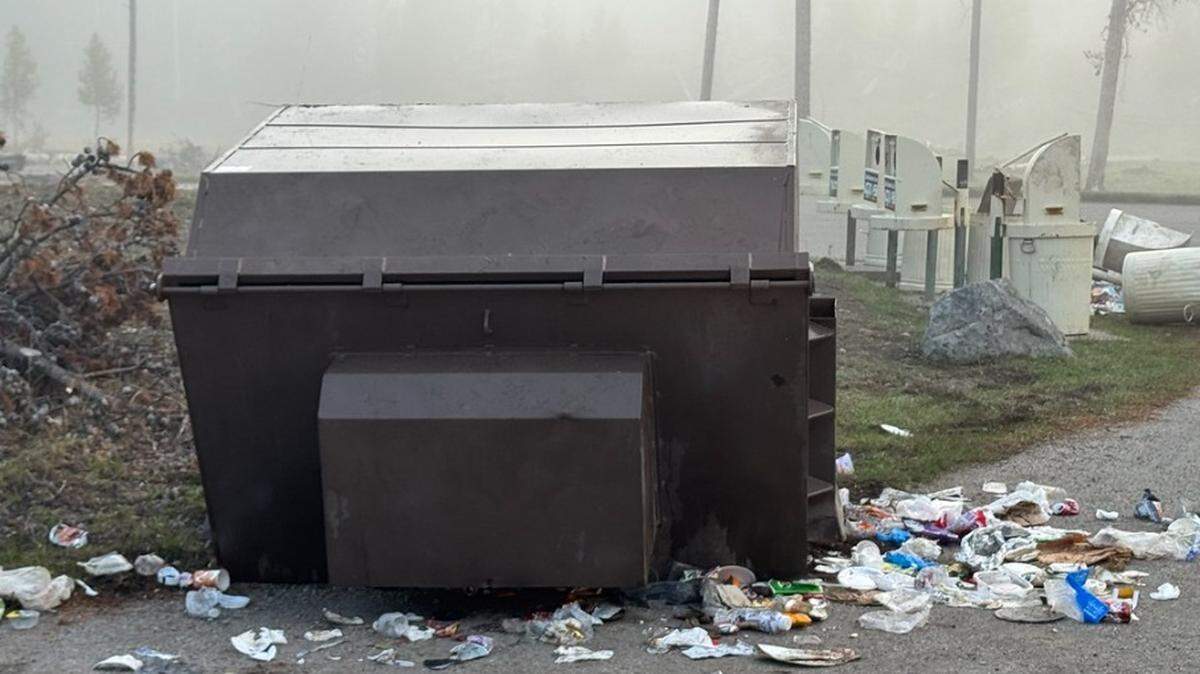 A 400-pound grizzly bear flipped dumpsters twice its size in its hunt for food in Yellowstone National Park, park rangers said.