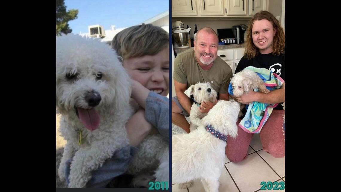 After “a reunion of a lifetime,” Minion, now 15 years old, is “home at last,” Maricopa County Animal Care and Control said.