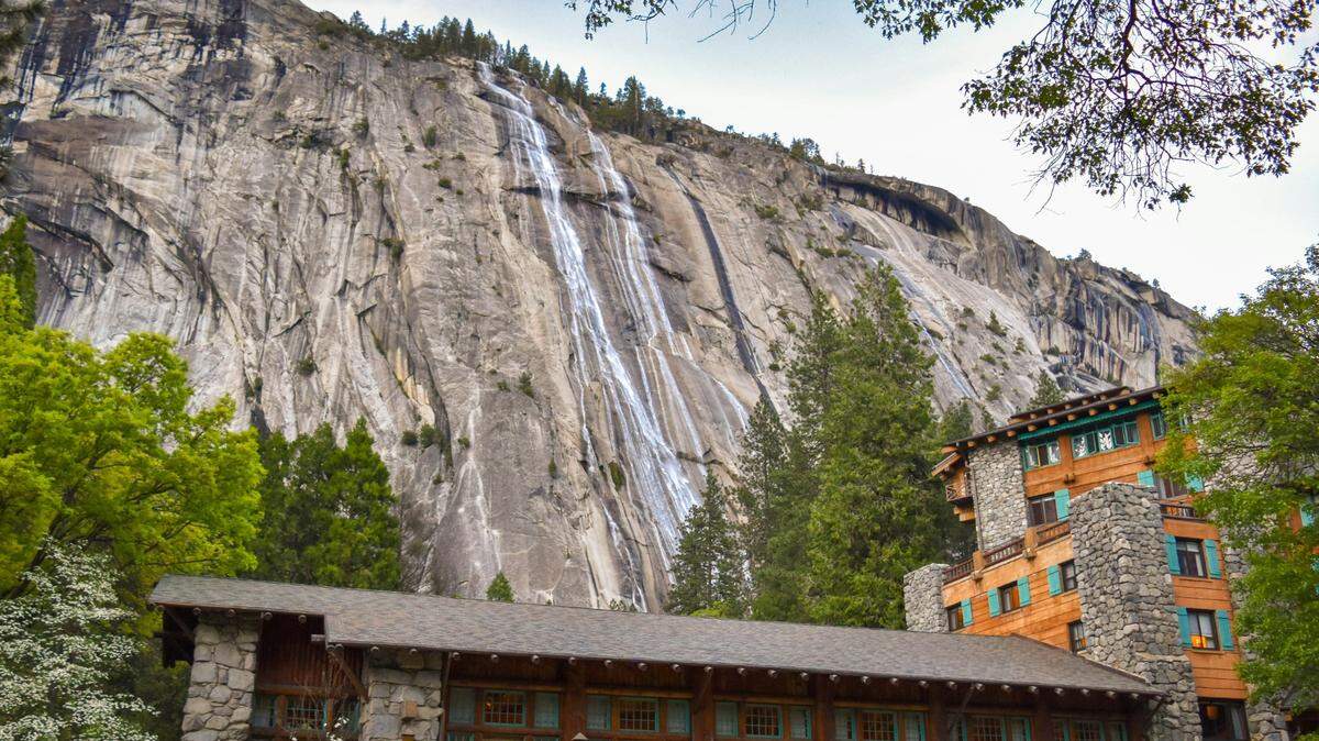 A hospitality worker fell to their death while rock climbing in Yosemite National Park, officials said.