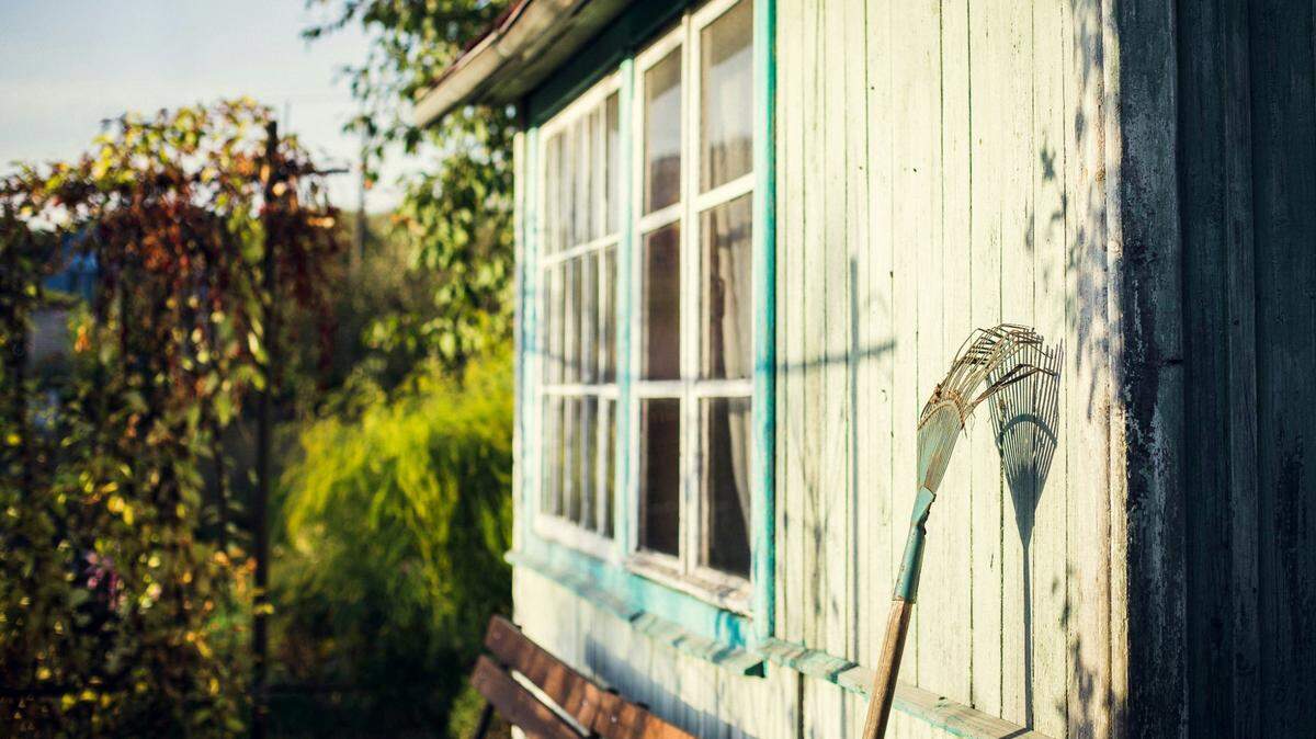 A normally elusive predator was spotted prowling through a California town until it ended up trapped inside a shed behind a private home.