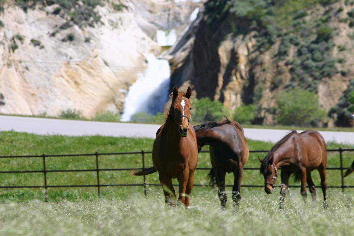 The ranch comes with an equestrian complex including an 18-stall barn, two outdoor arenas, 24 paddocks and 18 turnouts, the listing said.