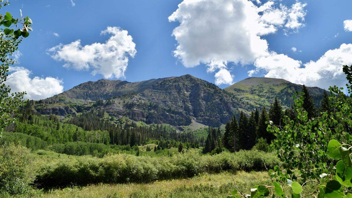 A man faces felony theft charges after prosecutors said he stole over $150,000 in lottery tickets using distraction tactics.