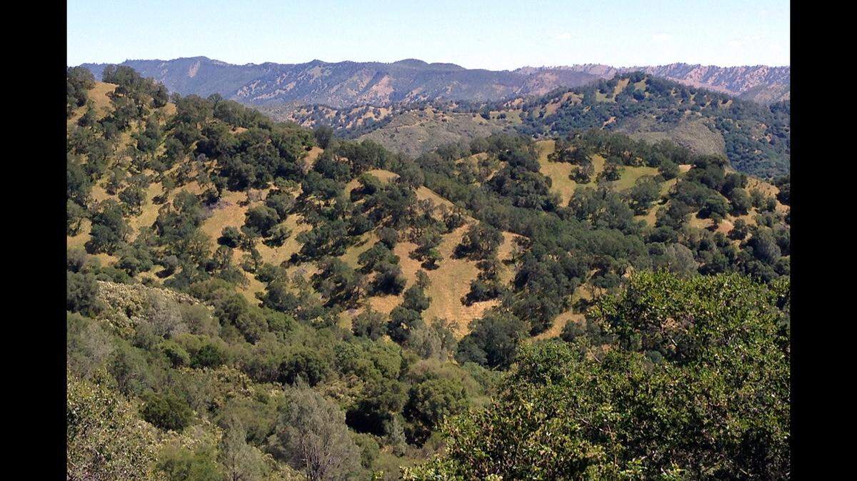 Land Trust of Napa County said it set out to “work on a major endangered species conservation effort” for the frogs in 2022.
