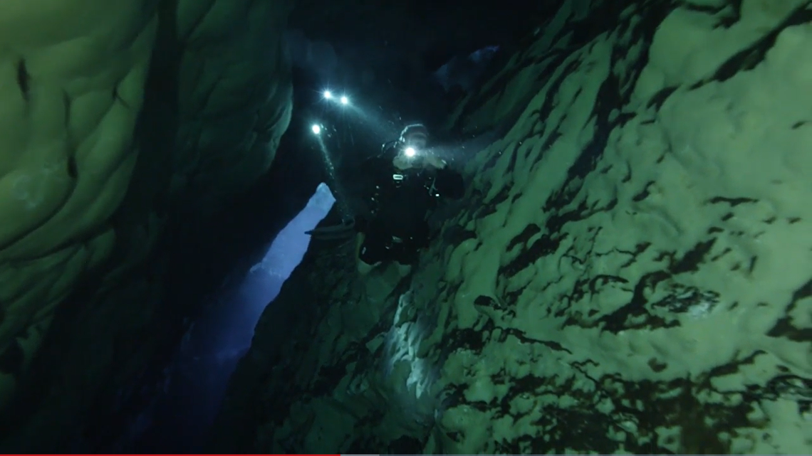 Using scuba gear, NPS said scientists dove “as deep as 100 feet to count fish.”