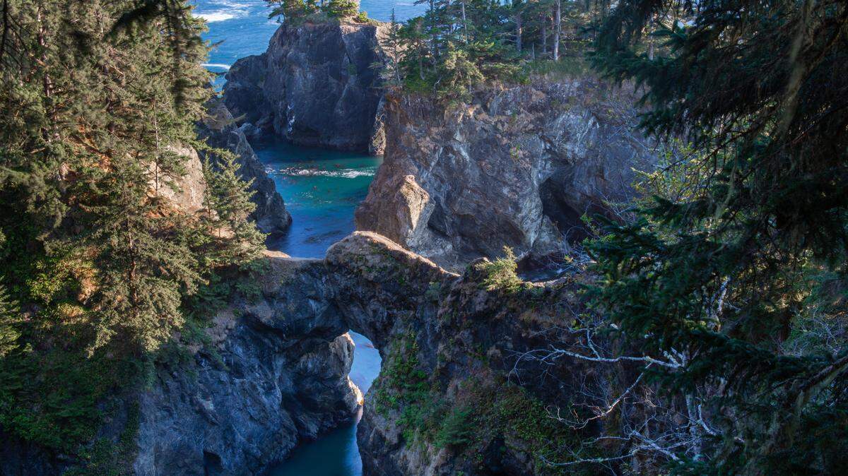 A 69-year-old man from San Jose, California, fell to his death April 21 on a trail near Natural Bridges in Oregon, deputies said. Natural Bridges is a popular ocean viewpoint.
