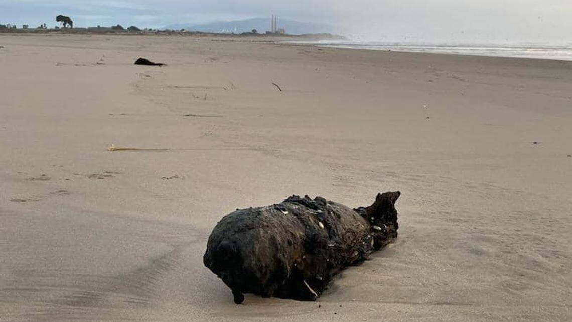 An inert bomb ended up on a Santa Cruz County beach following storms that produced huge waves, California officials say.