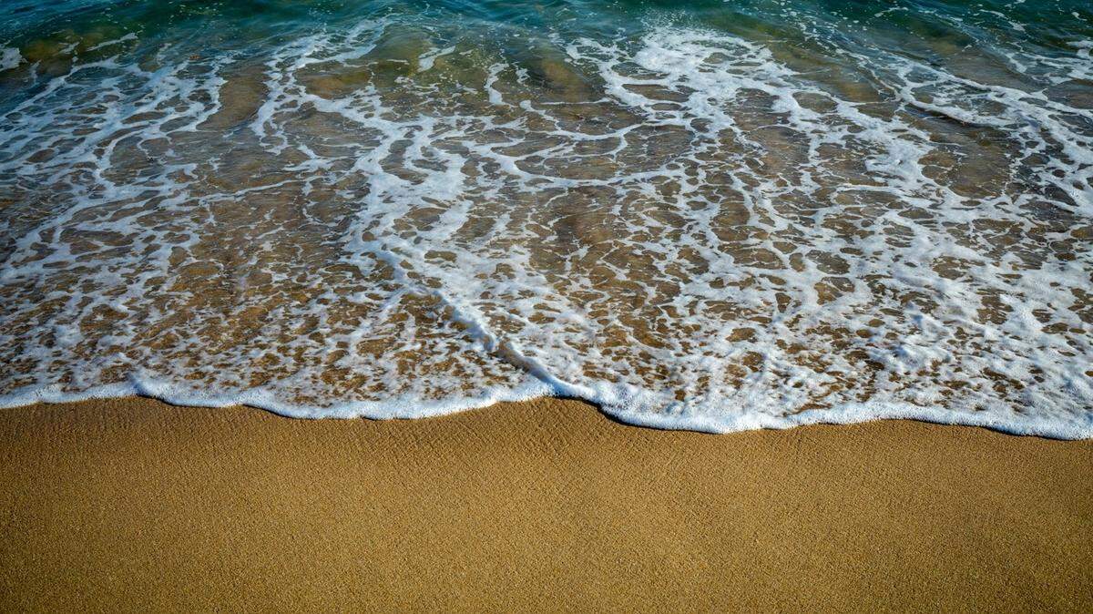 An odd-looking fish washed ashore in Sonoma County, officials say.