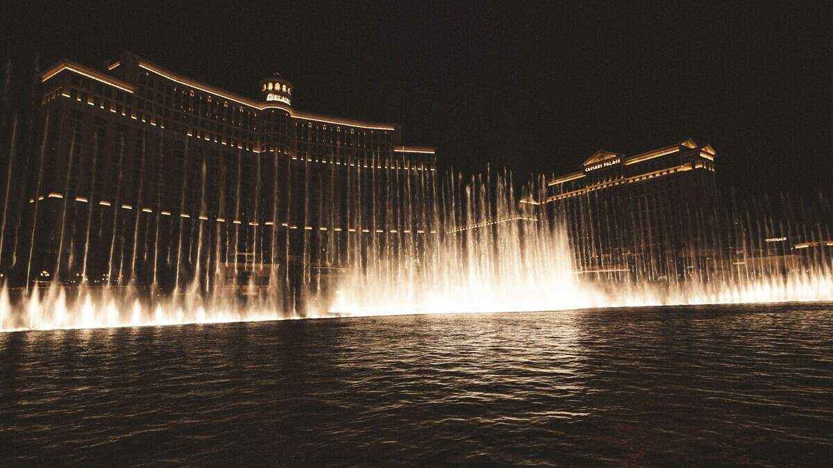 A possibly lost rare yellow-billed loon landed at the Bellagio Las Vegas fountain, calling a temporary halt to the resort’s water shows.
