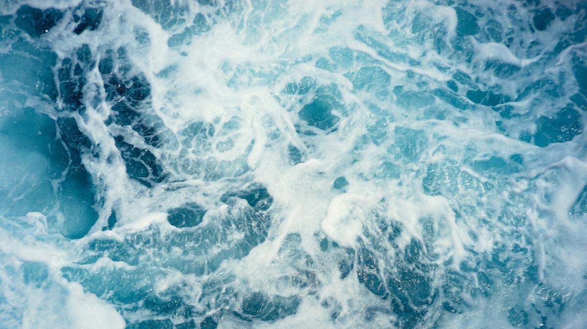 A sea creature known for its playful, friendly and active personality is winning the hearts of spectators off the coast of California, stunning photos show.