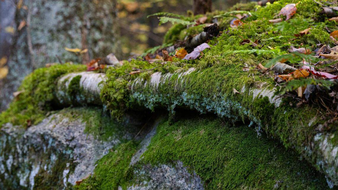 The group was well-prepared, but didn’t expect to need to veer off-course, much less need to be rescued.