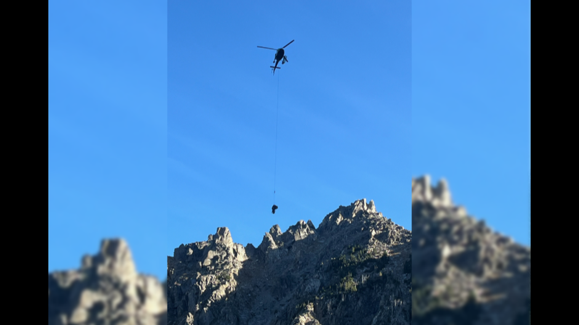 The pair were stuck in “technical terrain,” Montana deputies said.
