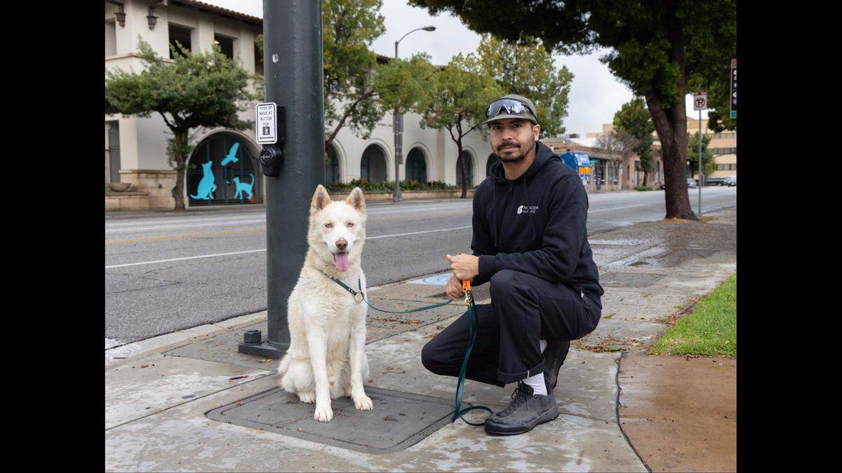 Riley has slowly been opening up and building relationships with Pasadena Humane staff, the shelter says.