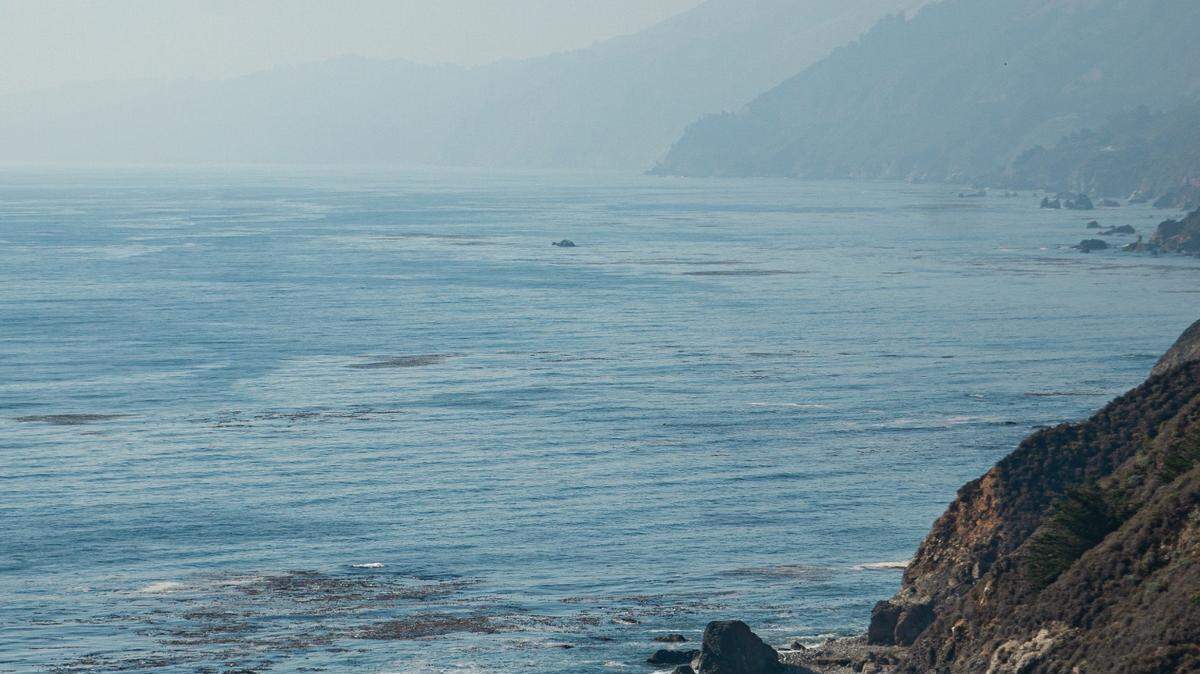 The humpback calf and his mother were spotted by boaters in Monterey Bay, California, according to a Facebook post.