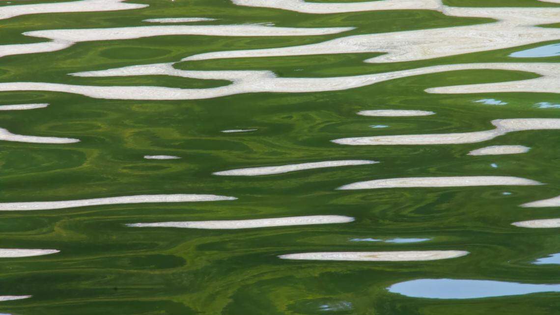 The sheriff’s dive team later found his body in 21 feet of water, deputies said.