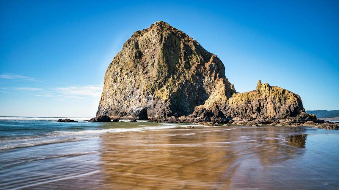 A deep-sea anglerfish found by beachcombers near Cannon Beach in Oregon may be the first such discovery in the state, Seaside Aquarium says.