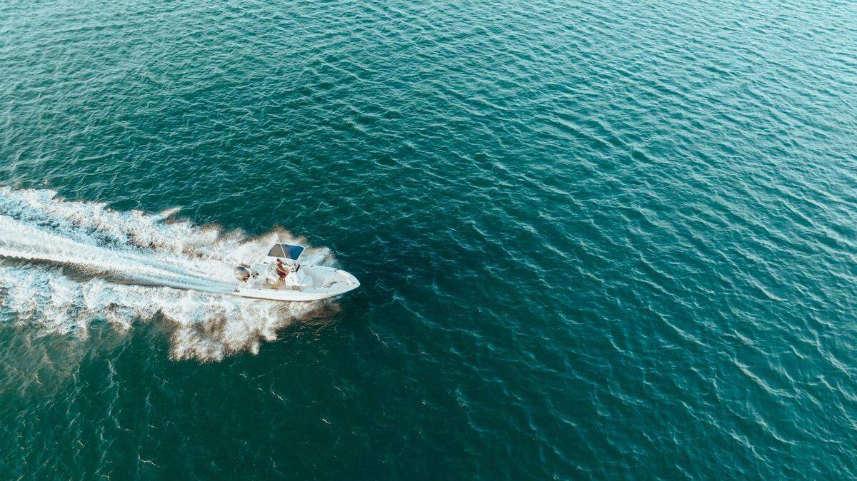 The first whale reported dead this season in a coastal California city was likely killed by a boat strike, experts say.