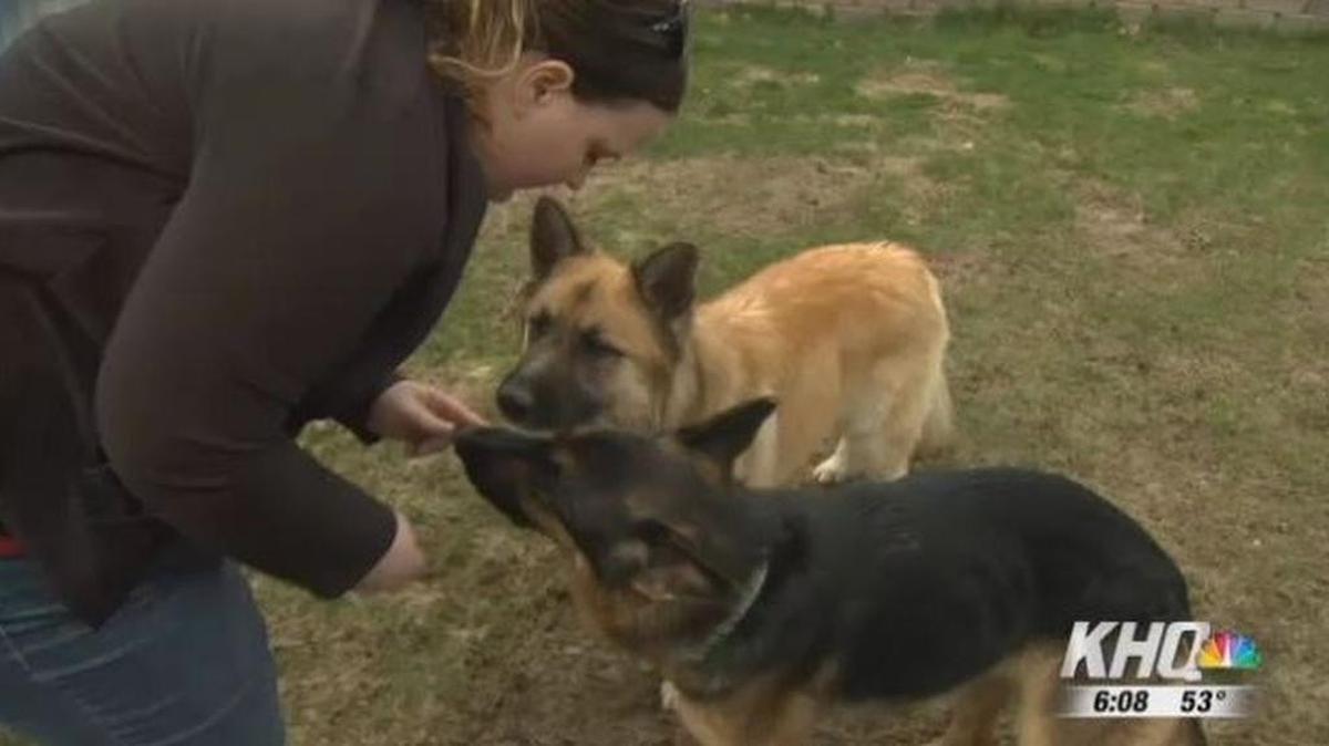 Jessica Donges of Medical Lake, Wash, plays with her two dogs, Zeus and Ziva, who were rescued after spending 22 days underground trapped in an abandoned missile silo.