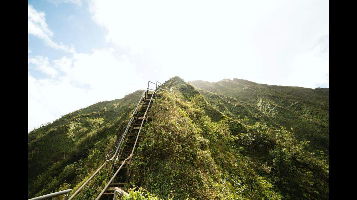 A dog took a 50-foot fall while trekking an illegal Hawaii trail with its owner, officials said.