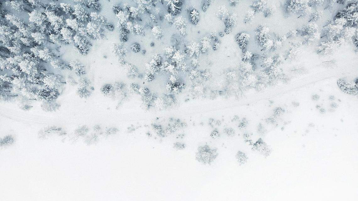 A snowmobiler crashed into a tree and was seriously injured in Utah, officials said.