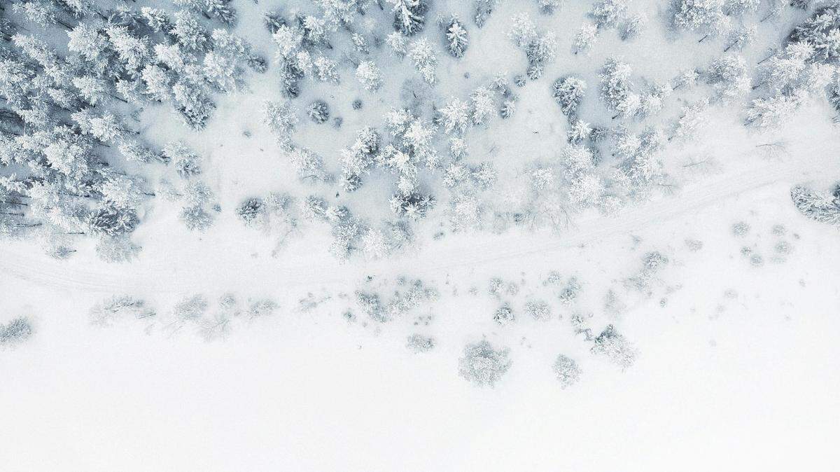 A snowmobiler crashed into a tree and was seriously injured in Utah, officials said.