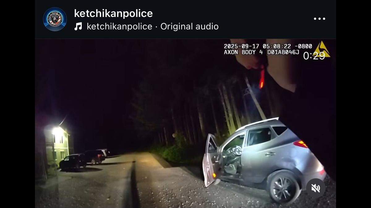 Two bears were freed after getting locked inside a car, Alaska police said.