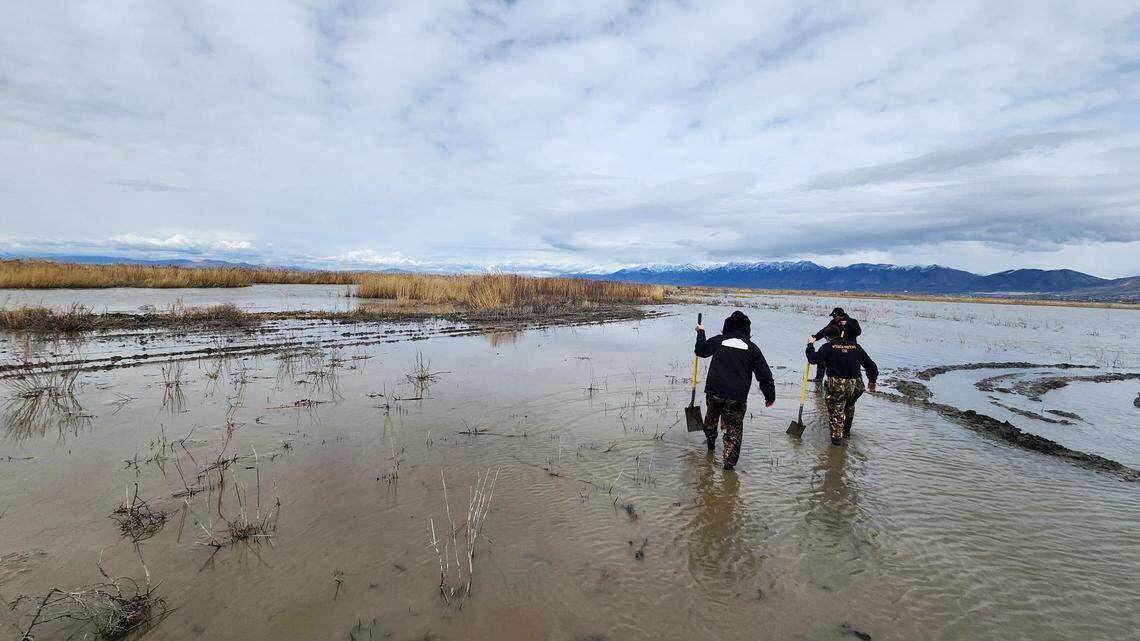 Skeletal human remains have been found in wetlands at the Bear River Migratory Bird Refuge, Utah sheriff’s officials say.