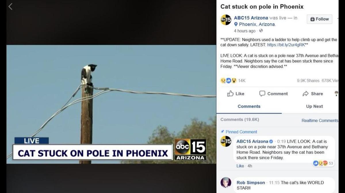 A Facebook livestream Monday of a cat stuck on top of a power pole flooded Phoenix 911 dispatchers with calls from across the country demanding they save the cat, which was eventually rescued by a neighbor with a ladder.