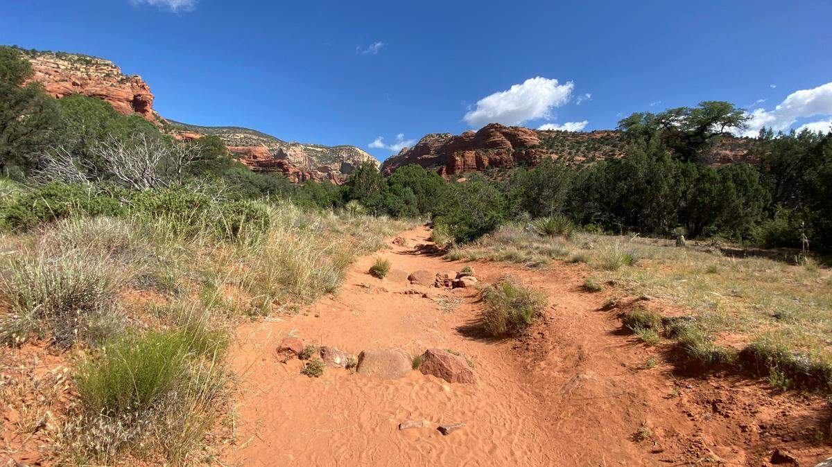 A mother collapsed and died while hiking an Arizona trail with her husband and young daughters, deputies say.