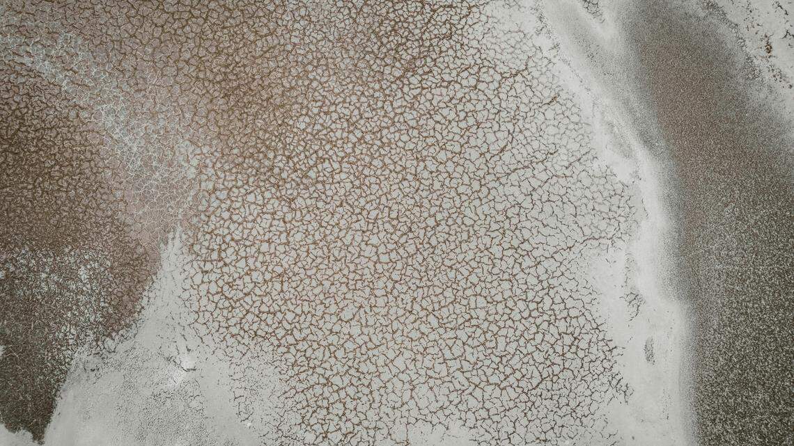 A lake formed and then bloomed across the normally bone-dry, cracked surface of Badwater Basin, Death Valley National Park’s low-lying salt flat and the lowest and driest spot in North America.