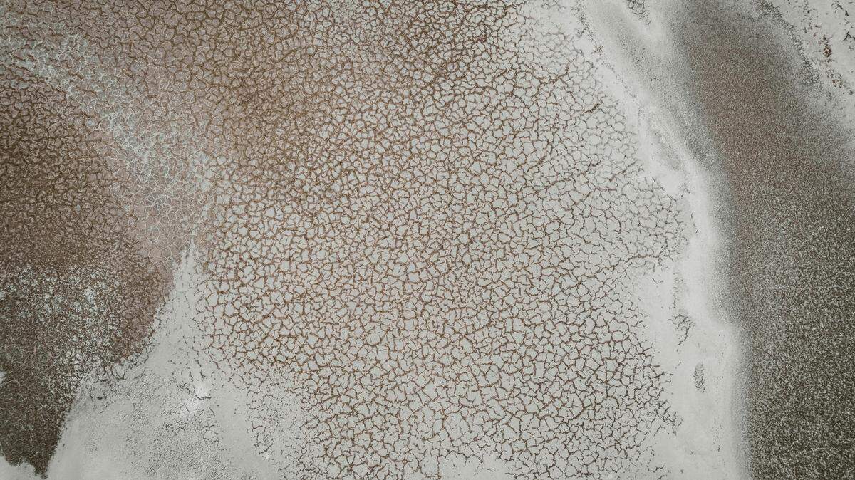 A lake formed and then bloomed across the normally bone-dry, cracked surface of Badwater Basin, Death Valley National Park’s low-lying salt flat and the lowest and driest spot in North America.