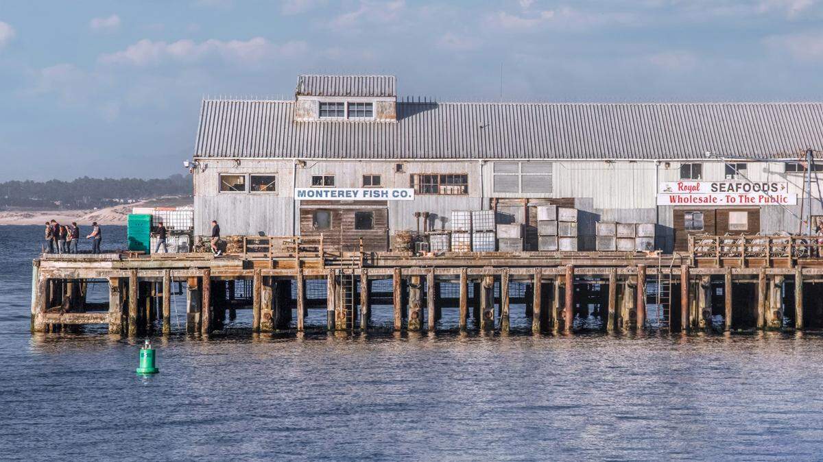 An accused drunken driver fleeing police drove off a Monterey wharf into the ocean and had to be rescued with his passengers, California cops say.