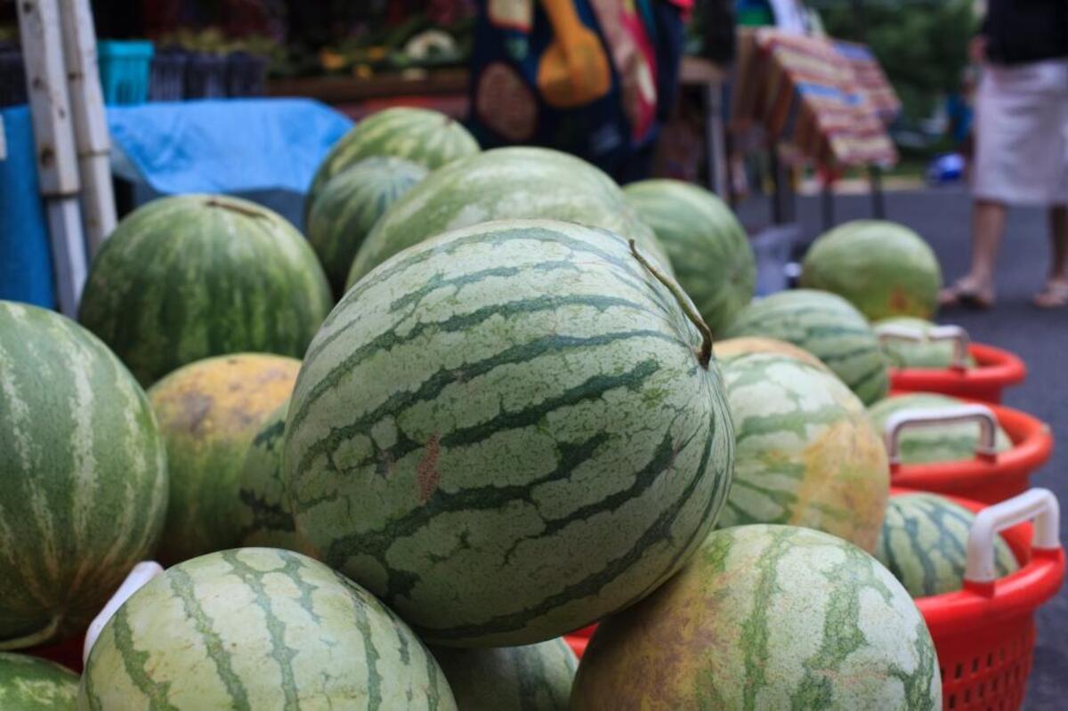 Watermelons are displayed for sale at a farmers market.