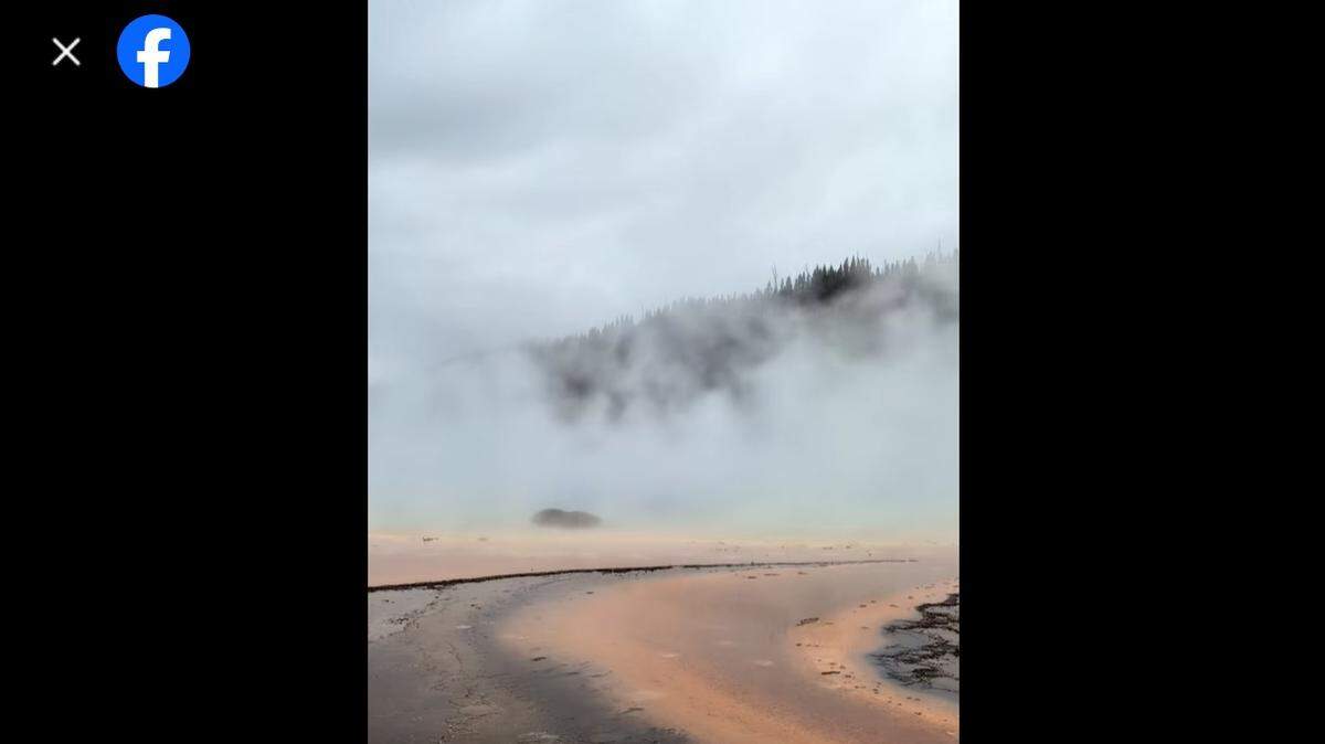Several people witnessed a bison’s final moments after it fell into a hot spring in Yellowstone National Park, photos and videos show.