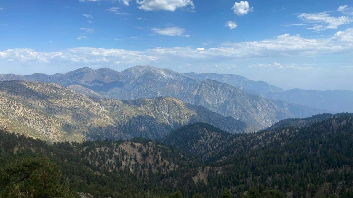 Sheylla Cabrera was found dead in Angeles National Forest, deputies said.