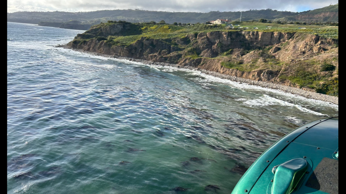 A pilot and his dog swam to shore as their crashed plane sank into the ocean, California officials say. 