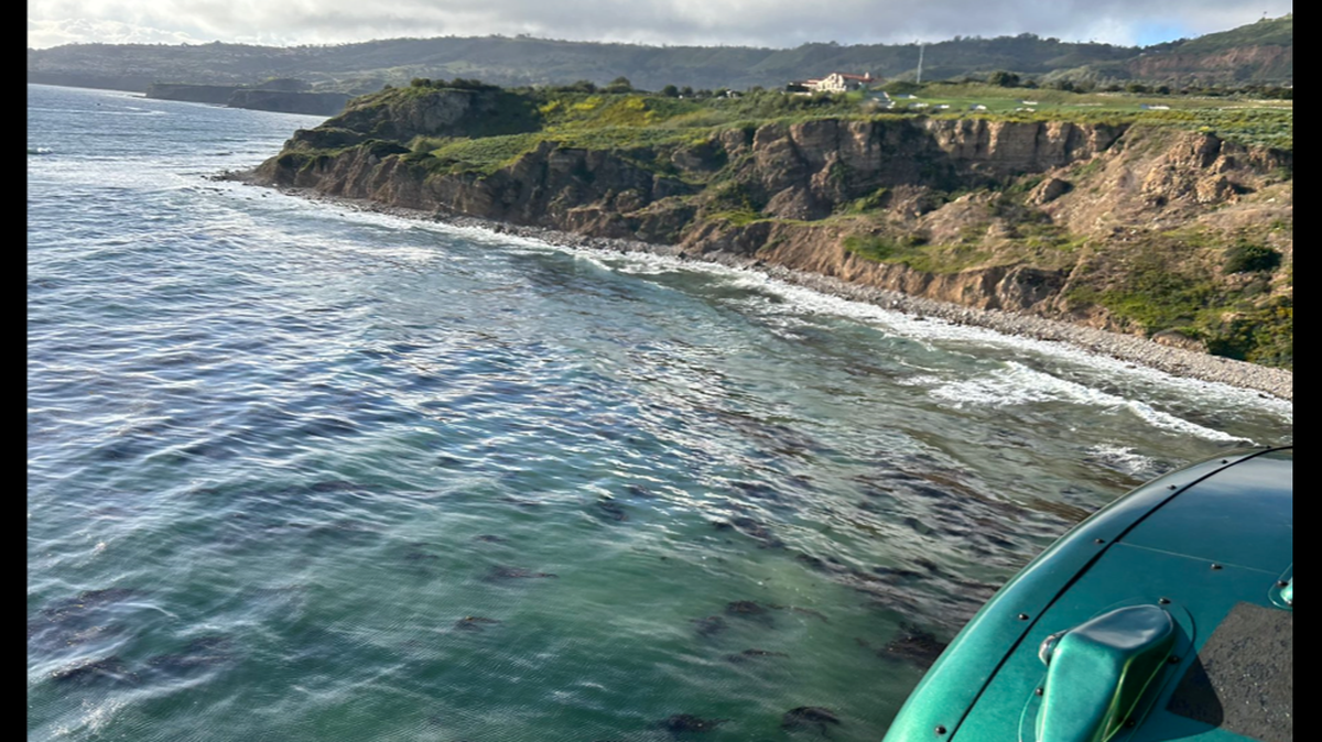 A pilot and his dog swam to shore as their crashed plane sank into the ocean, California officials say. 