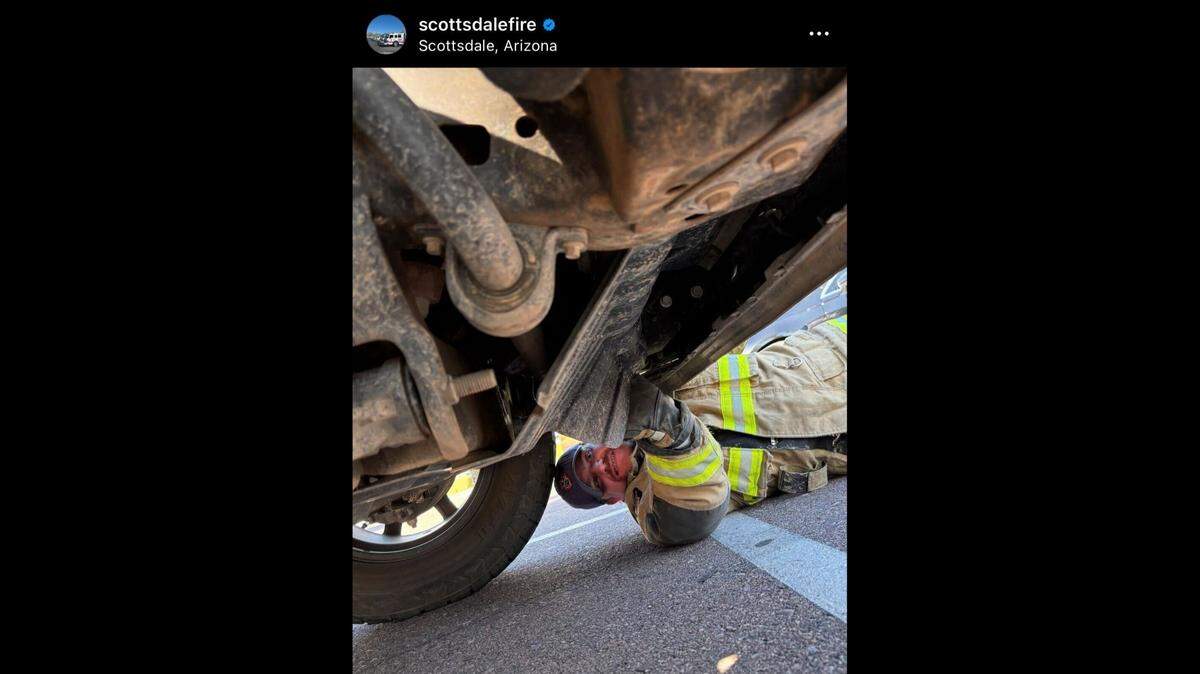 A man saw a creature popping out from under his parked truck in Arizona, officials said.