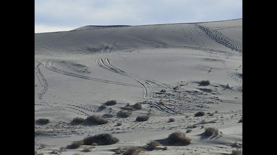 Vehicle tracks seen on Eureka Dunes.